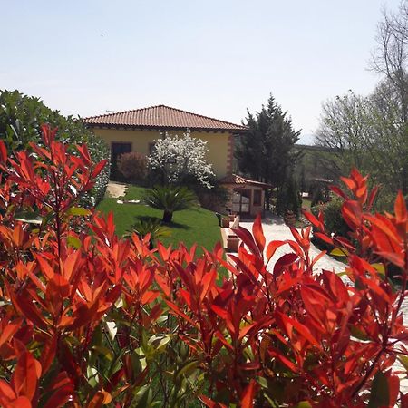Tenuta La Ginestra Ornaro Luaran gambar