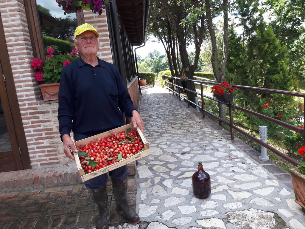 Tenuta La Ginestra Ornaro Luaran gambar